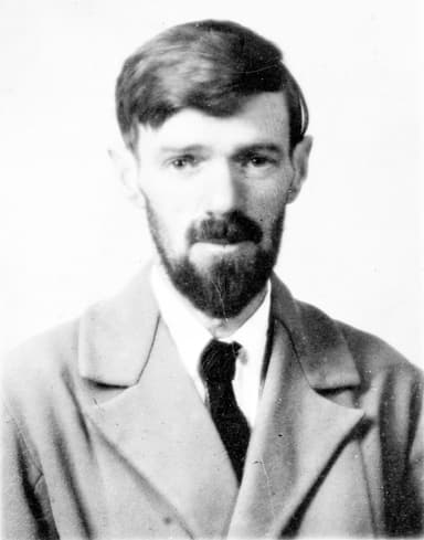 D. H.  Lawrence