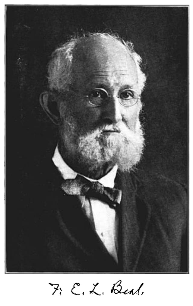 F. E. L.  Beal