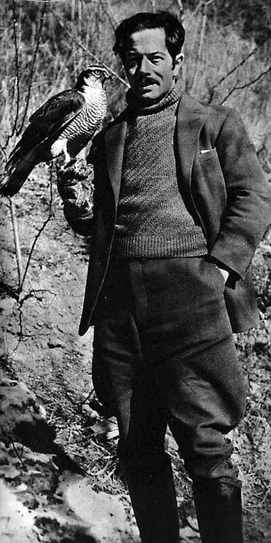 Johan Albert Bergman