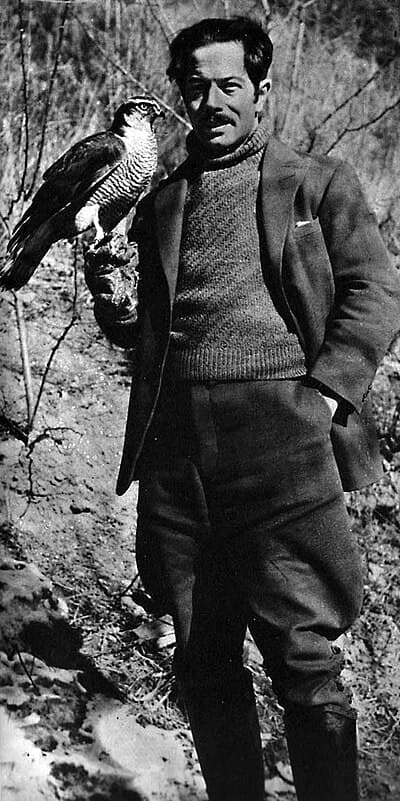 Johan Albert Bergman