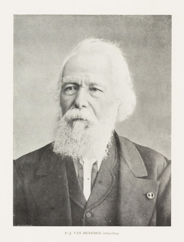 P. J. van  Beneden