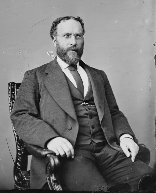 Robert Barnwell Roosevelt
