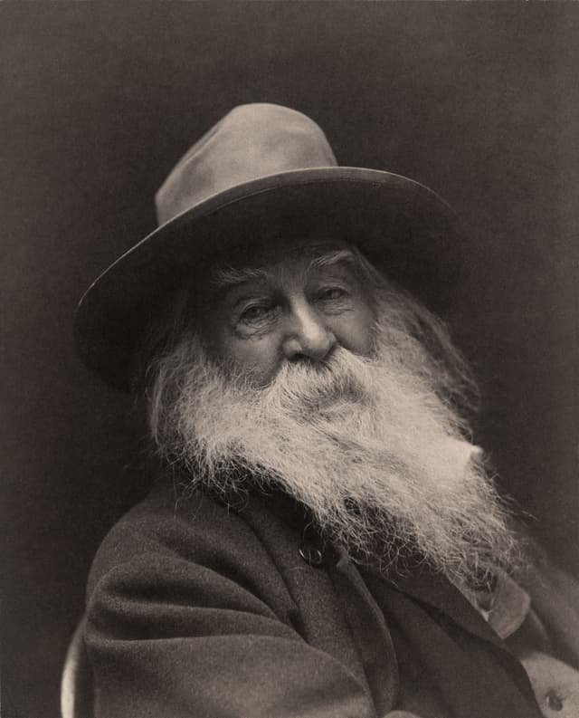 Drew Whitman