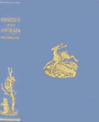 Stories About Animals: With Pictures to Match