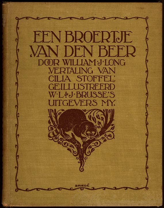 Een Broertje Van Den Beer