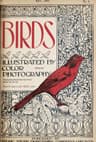 Birds, Illustrated by Color Photography, Vol. 1, No. 5may, 1897