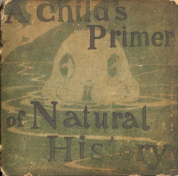 A Child's Primer of Natural History