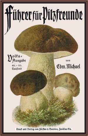 Führer Für Pilzfreunde