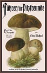 Führer Für Pilzfreunde