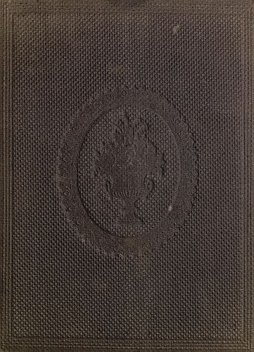 Little Frankie and His Cousin