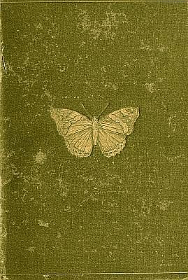 Butterflies and Moths (british)