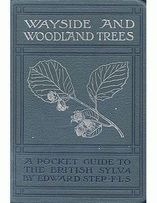 Wayside and Woodland Trees: A Pocket Guide to the British Sylva