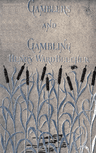 Gamblers and Gambling