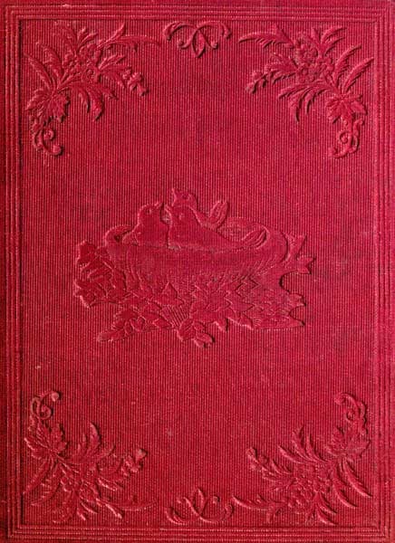 Little Robins' Love One to Another