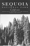 Sequoia [California] National Park