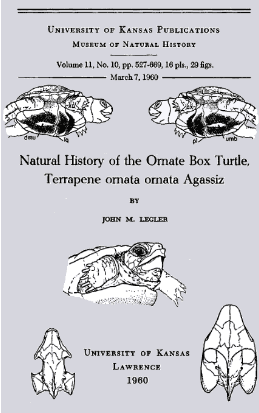 Natural History of the Ornate Box Turtle, Terrapene Ornata Ornata Agassiz