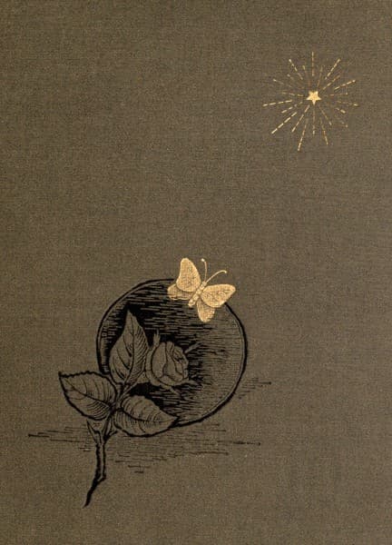 An Ambitious Woman: A Novel