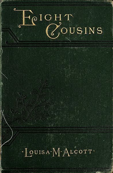 Eight Cousins; Or, The Aunt-Hill