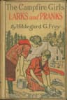 The Camp Fire Girls' Larks and Pranks; Or, The House of the Open Door