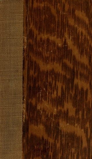 La Guerre Injuste: Lettres D'un Espagnol