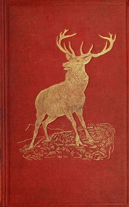 Katerfelto: A Story of Exmoor