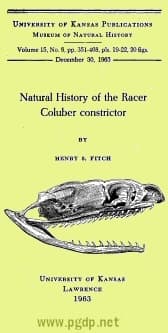 Natural History of the Racer Coluber Constrictor