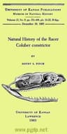 Natural History of the Racer Coluber Constrictor