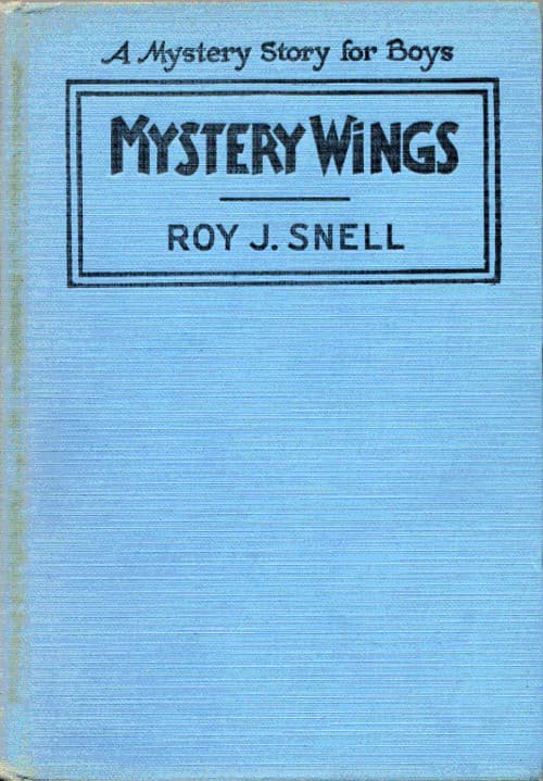 Mystery Wings: A Mystery Story for Boys