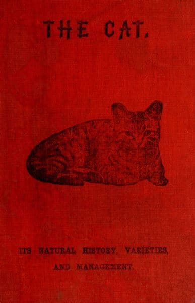 The Cat: Its Natural History; Domestic Varieties; Management and Treatment