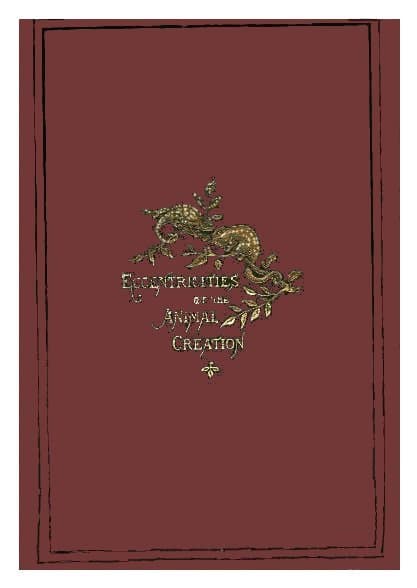 Eccentricities of the Animal Creation.