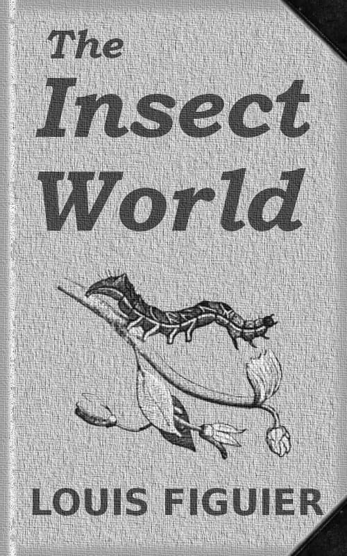 The Insect World: Being a Popular Account of the Orders of Insects; Together with a Description of the Habits and Economy of Some of the Most Interesting Species