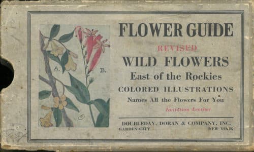 Flower Guide: Wild Flowers East of the Rockies(revised and with New Illustrations)