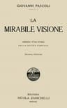 La Mirabile Visione: Abbozzo D'una Storia Della Divina Comedia