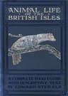 Animal Life of the British Isles: A Pocket Guide to the Mammals, Reptiles and Batrachians of Wayside and Woodland