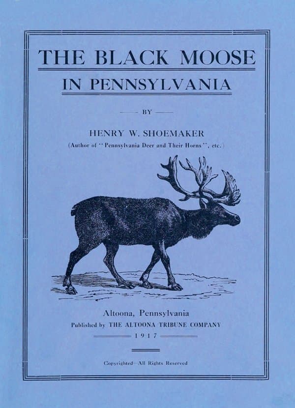 The Black Moose in Pennsylvania