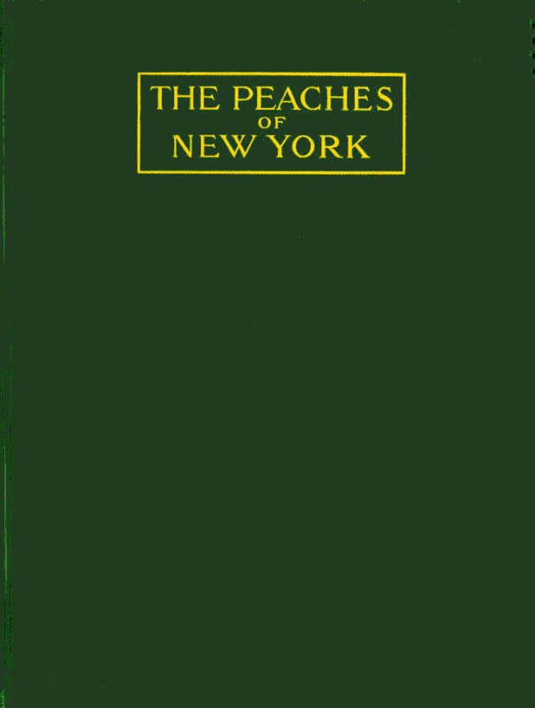 The Peaches of New York