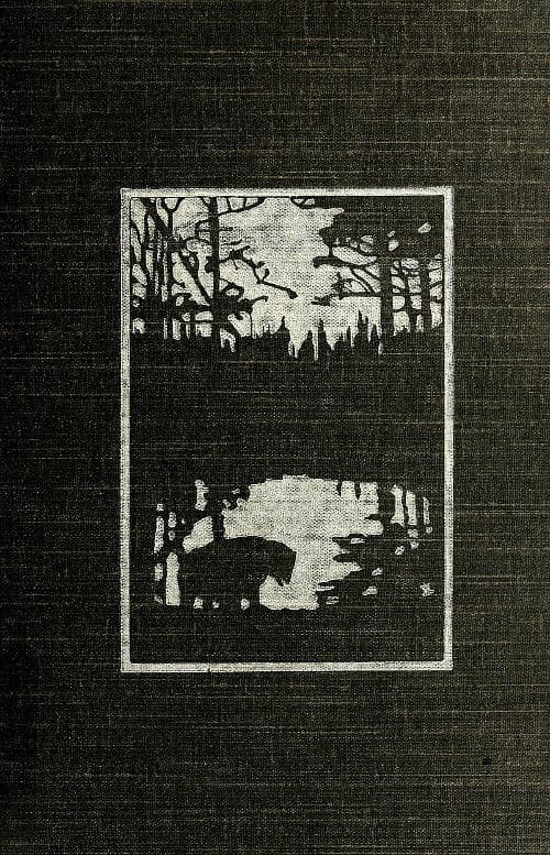 The Heart of the Ancient Wood