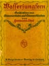 Wasserjungfern: Geschichten Von Sommerboten Und Sonnenkündern