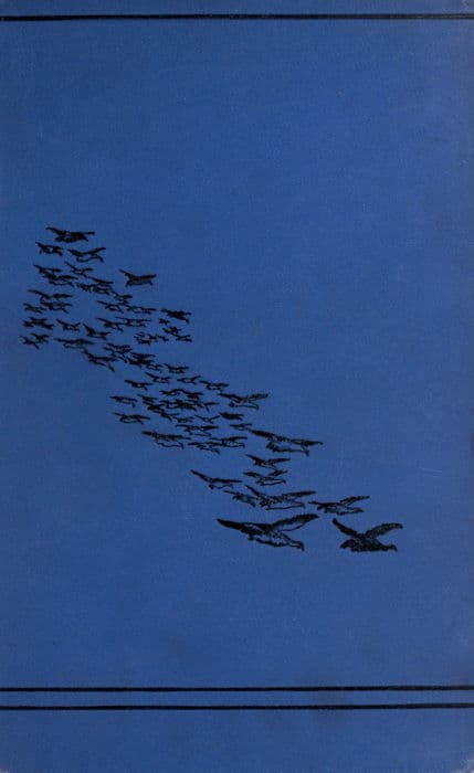 Sport in the Crimea and Caucasus