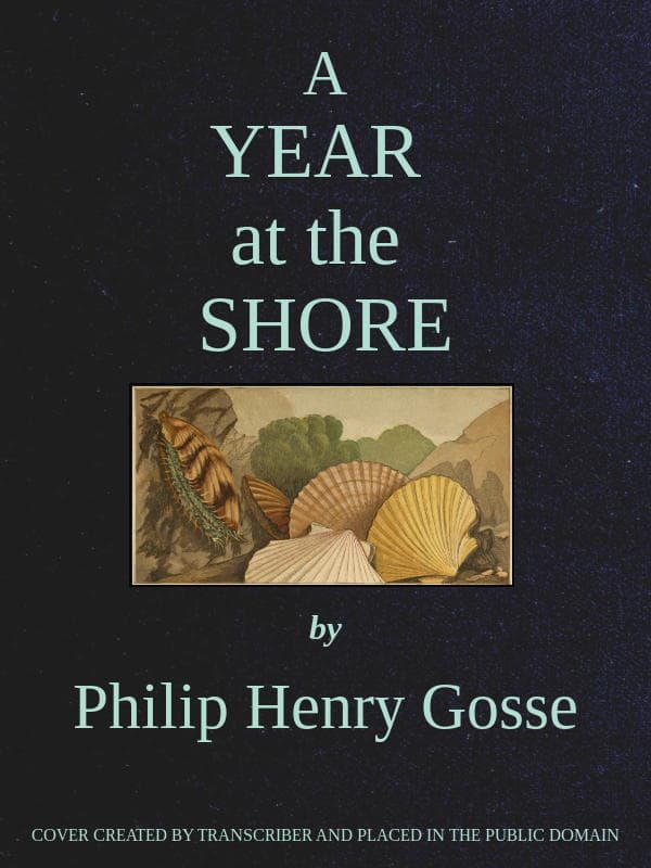A Year at the Shore