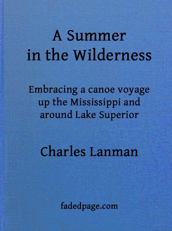 A Summer in the Wildernessembracing a Canoe Voyage Up the Mississippi and Around Lake Superior