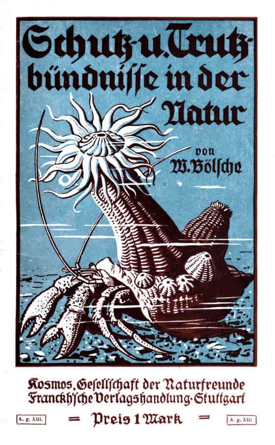 Schutz- Und Trutzbündnisse in Der Natur