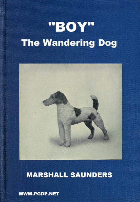Boy" the Wandering Dog: Adventures of a Fox-Terrier
