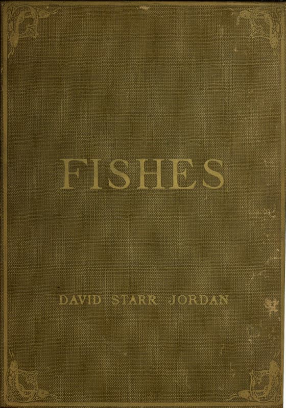A Guide to the Study of Fishes, Volume 2 (of 2)