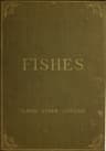 A Guide to the Study of Fishes, Volume 2 (of 2)