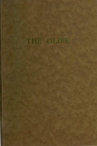 The Olive