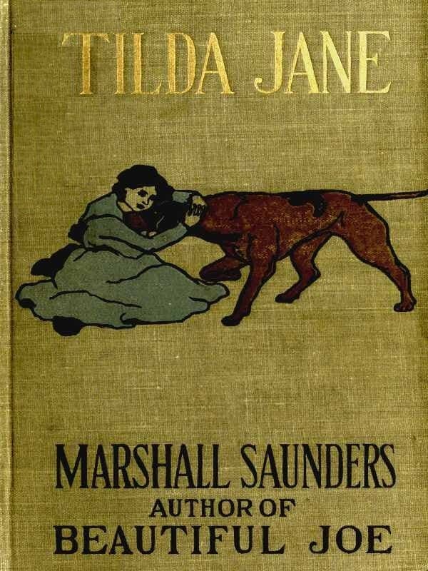 'Tilda Jane: An Orphan in Search of a Home. a Story for Boys and Girls