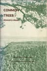 Common Trees of Pennsylvania