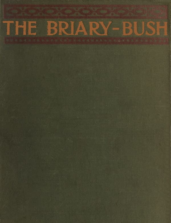 The Briary Bush: A Novel