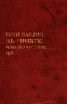Al fronte (maggio-ottobre 1915)